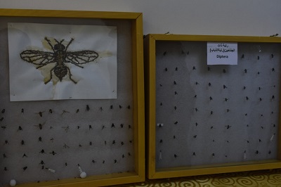 افتتاح الحديقة الطبية والعطرية ومتحف الحشرات في كلية الهندسة الزراعية.